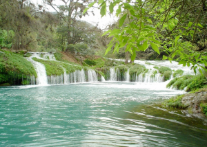 cascadas de micos